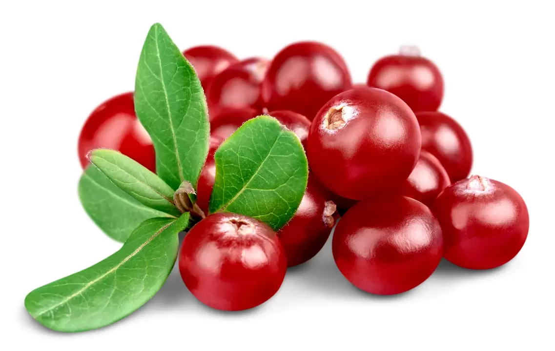 Cranberries in the Urosaf capsules