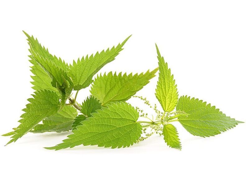 Nettle in the capsules of ZXCVBNMQ value